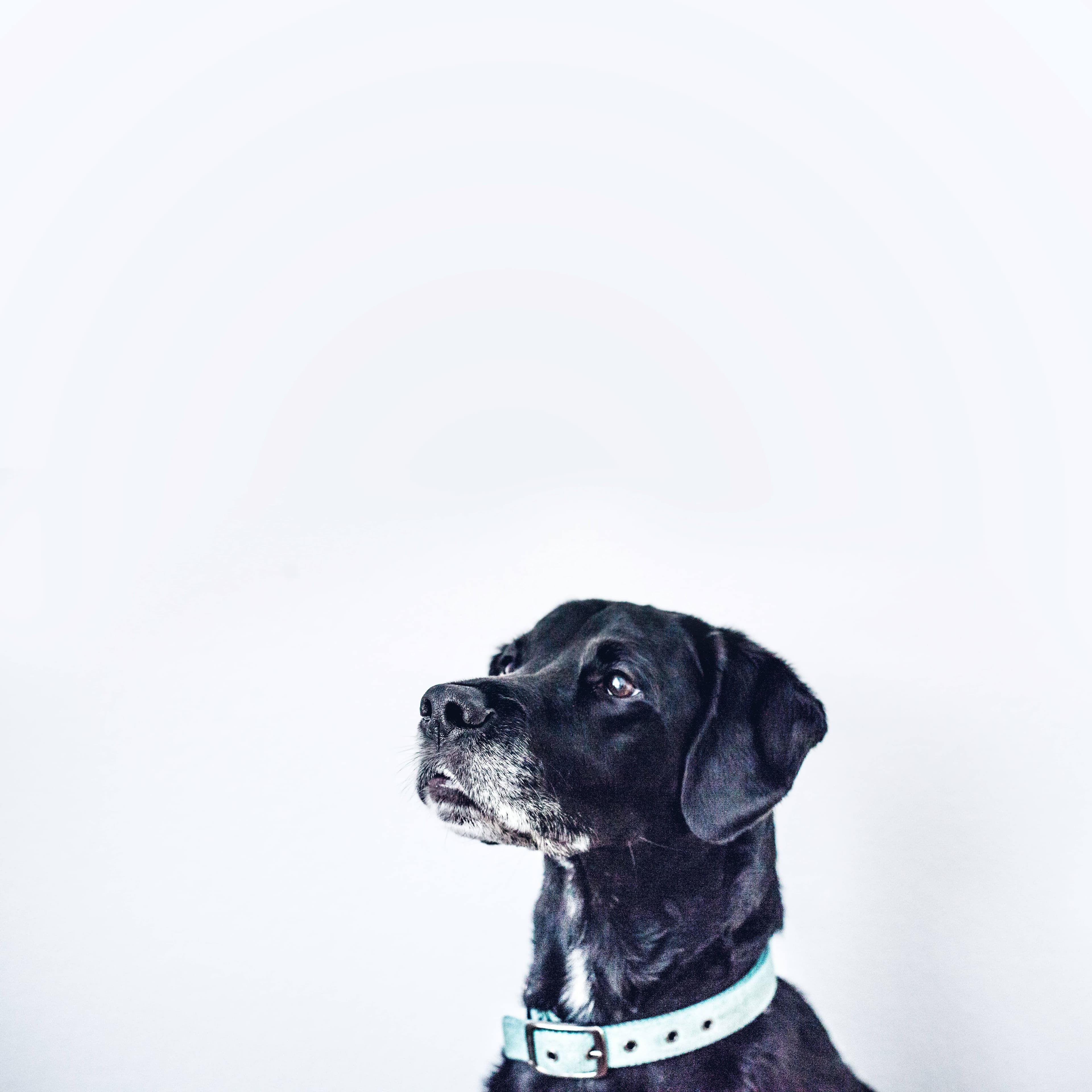 Hero 1